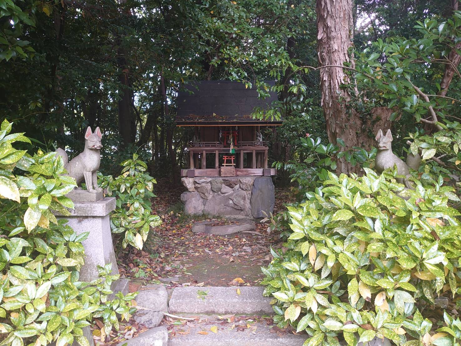 和伎座天乃夫岐売神社(涌出宮)